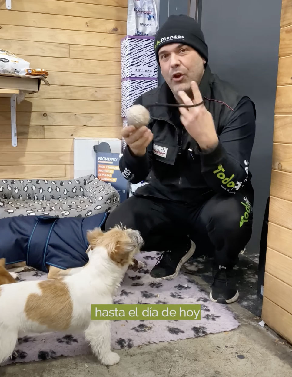 Pelota indestructible